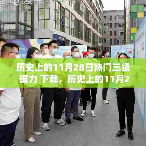 历史上的11月28日热门资源下载平台评测,磁力下载的兴衰之路