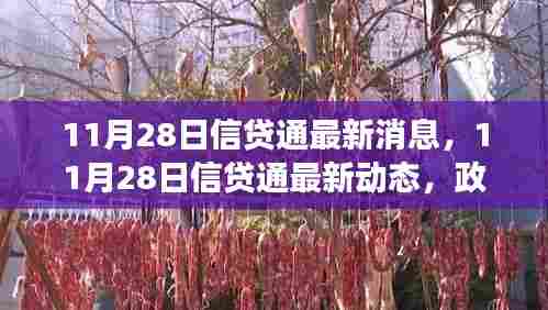11月28日信贷通政策调整与市场反应最新动态