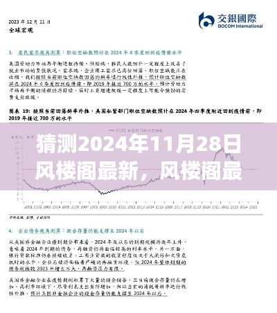 2024年11月28日风楼阁最新动态展望与探索步骤指南