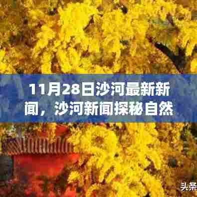 沙河新闻探秘自然秘境，寻找内心平静的奇妙旅程盛大开启