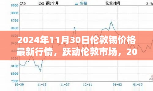 2024年11月30日伦敦锡价格最新行情，跃动伦敦市场，2024年锡价背后的故事与你的成长之路