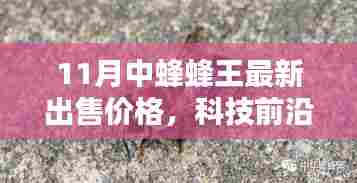 揭秘科技前沿，揭秘11月中蜂蜂王最新智能售价，开启未来生活新纪元体验！