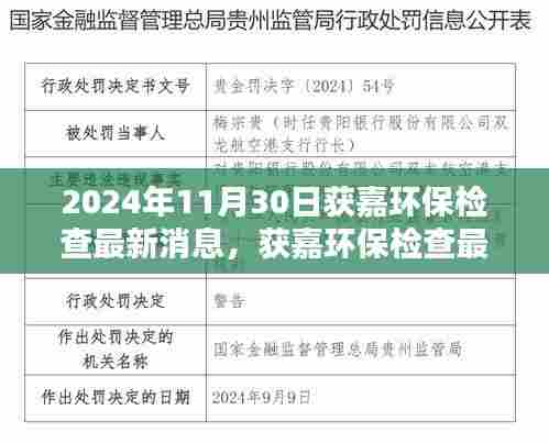 获嘉环保检查深度评测报告，特性、体验、竞品对比及用户分析（最新消息，2024年11月版）
