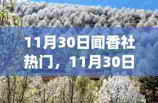 11月30日闻香社热门活动,与自然美景的邂逅,内心平和之旅启程