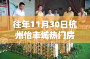 杭州怡丰城热门房价揭秘,历年11月30日深度探析