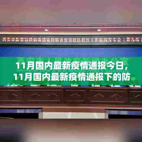 11月国内最新疫情通报解读，防控措施与个人观点分析