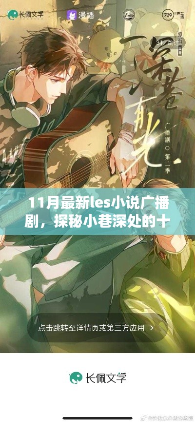 探秘小巷深处的最新热门LES小说广播剧，十一月专属小天地