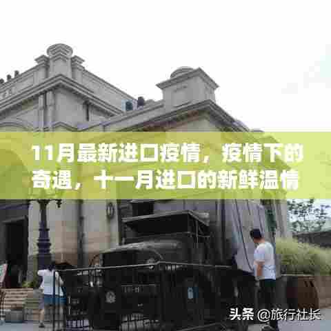 疫情奇遇记,十一月进口温情故事回顾