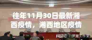 往年11月30日最新湘西疫情，湘西地区疫情最新动态指南，如何安全度过疫情高峰（初学者与进阶用户适用）