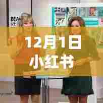 揭秘小红书热门新宠，最新高科技产品体验之旅，科技巅峰时刻！