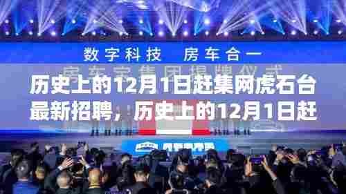历史上的12月1日赶集网虎石台最新招聘信息揭秘🌟