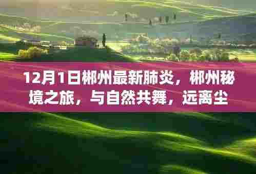 郴州最新肺炎下的秘境之旅，与自然共舞，寻找内心的宁静与力量