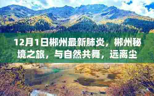 郴州最新肺炎下的秘境之旅,与自然共舞,寻找内心的宁静与力量