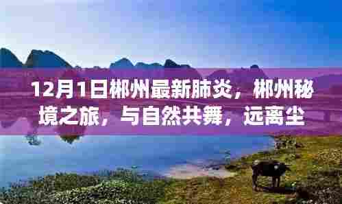 郴州最新肺炎下的秘境之旅,与自然共舞,寻找内心的宁静与力量