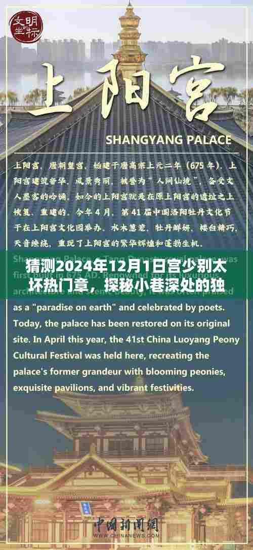 宫少别太坏，探秘小巷的独特风味与奇遇记——2024年12月1日的热门章节预测
