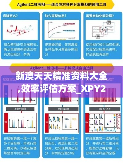 新澳天天精准资料大全,效率评估方案_XPY21.446远光版