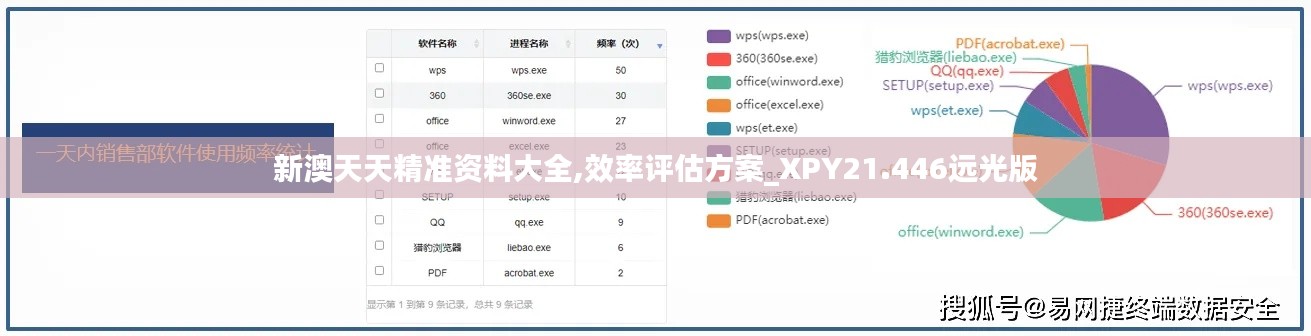 新澳天天精准资料大全,效率评估方案_XPY21.446远光版