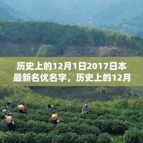 揭秘日本娱乐圈新星闪耀时刻，名优名字盘点与闪耀历程回顾（附2017年新星名字）