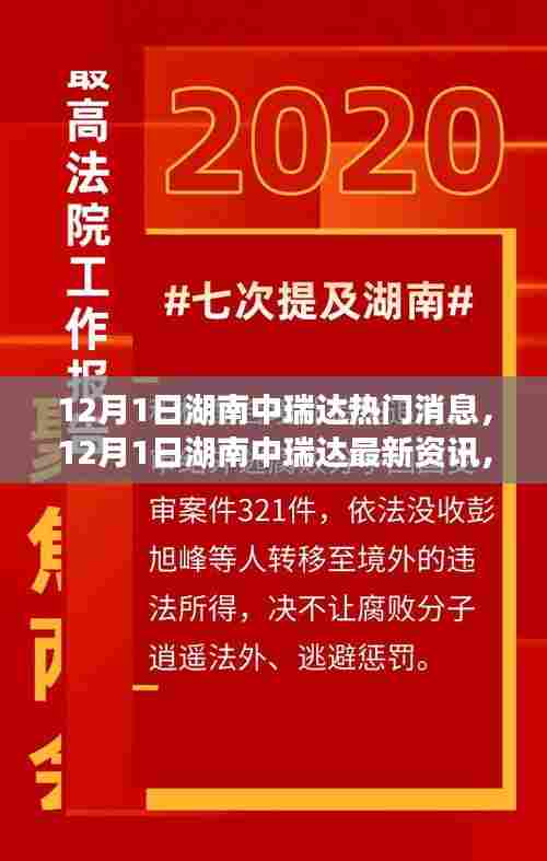 揭秘湖南中瑞达最新发展动态与热点消息，12月1日深度报道