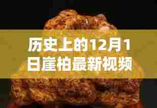 历史上的12月1日与崖柏最新视频，深度探析某观点揭秘时刻