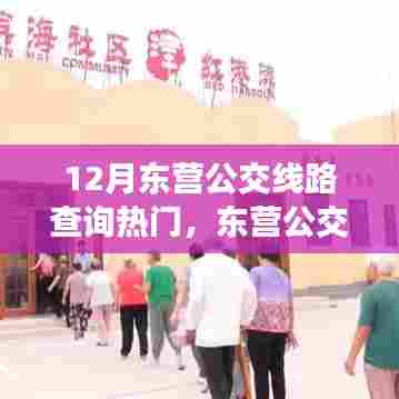 东营公交探秘,十二月线路查询指南与心灵静谧之旅