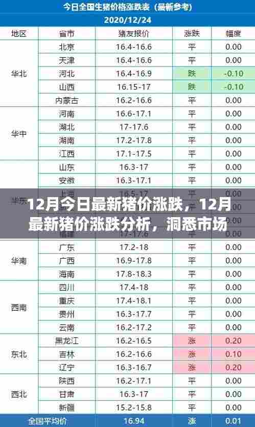 洞悉市场动态,最新猪价涨跌分析与养殖前景展望