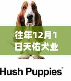 草草了事 第4页