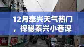 探秘泰兴小巷特色小店,十二月泰兴天气的温暖邂逅之旅