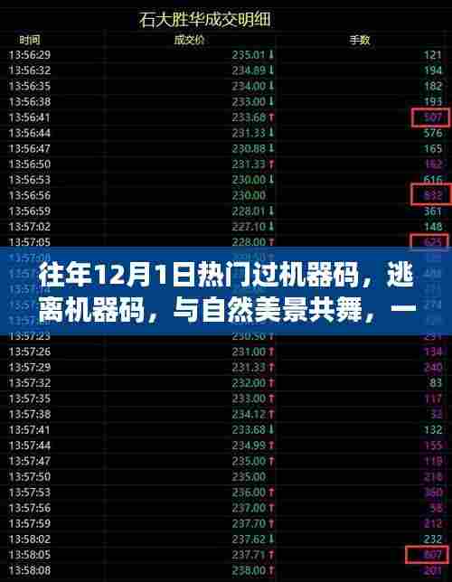 心灵之旅,逃离机器码,与自然美景共舞的心灵奇妙之旅