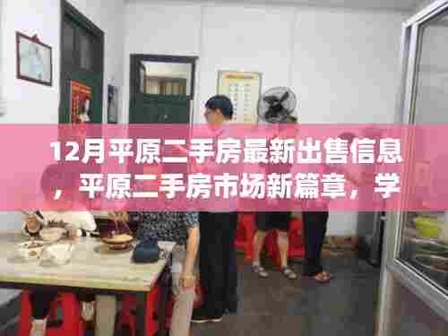 平原二手房市场新篇章，学习变化，拥抱机遇，自信成就梦想之最新出售信息