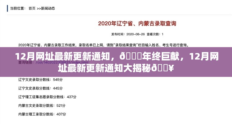 🌟年终巨献,揭秘最新更新的12月网址通知🔥