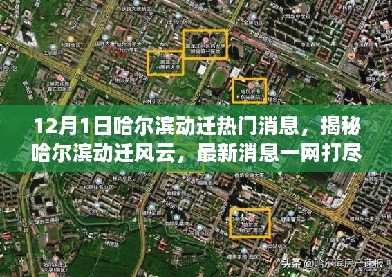 揭秘哈尔滨动迁风云，最新热点深度解读与热点消息一网打尽（12月1日）