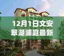 文安翠湖澜庭最新动态深度解析——12月1日最新消息