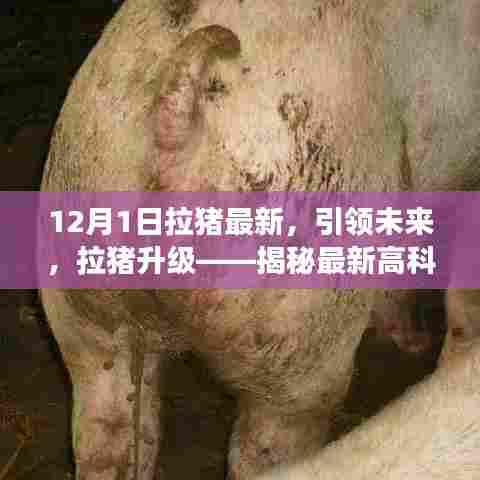 揭秘最新高科技拉猪产品的神奇功能，引领未来拉猪升级新趋势