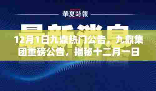 揭秘，九鼎集团重磅公告背后的故事与深远影响，时代大潮下的十二月一日观察