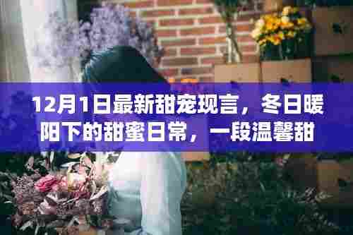 冬日暖阳下的甜蜜宠友日常，温馨甜蜜的现言故事