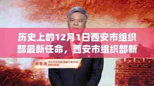 历史视角下的西安市组织部最新任命深度解读