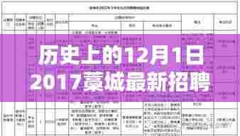 历史上的重要时刻与今日机遇,藁城最新招聘指南(初学者与进阶用户适用)