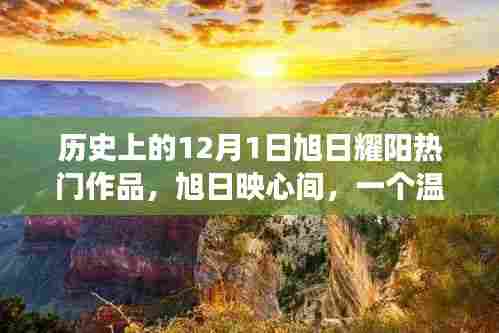 12月1日阳光下的友情故事，旭日映心间的温馨传奇