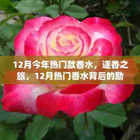 逐香之旅,揭秘十二月热门香水背后的励志故事与迷人香气