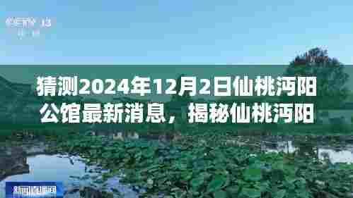揭秘仙桃沔阳公馆，最新消息、未来预测与深度评测报告（2024年12月）