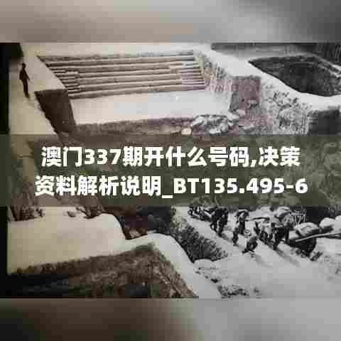 澳门337期开什么号码,决策资料解析说明_BT135.495-6