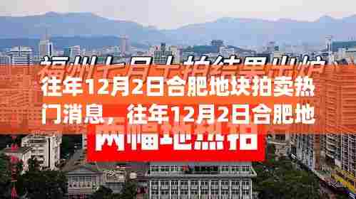 合肥地块拍卖热门消息揭秘,历年12月2日拍卖全解析