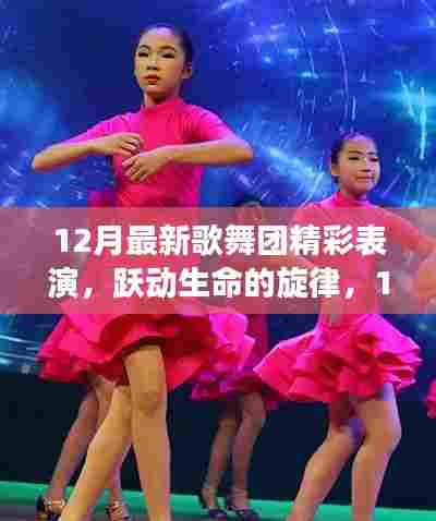 12月最新歌舞团表演，跃动生命的旋律与自我成长的旅程
