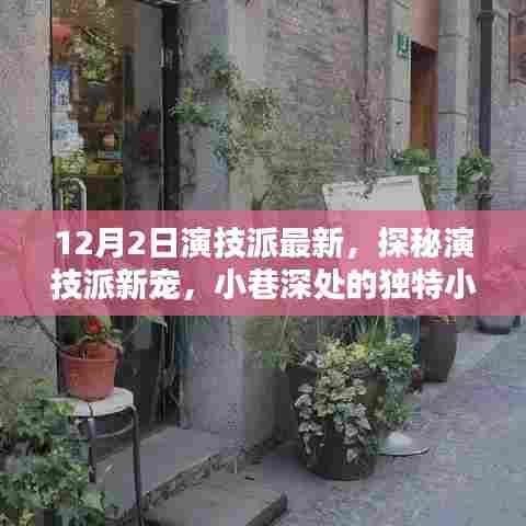 独家揭秘演技派新宠，小巷深处的独特小店