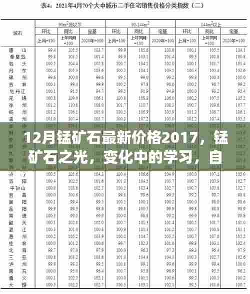 锰矿石之光，探索最新价格变化，学习成就感的源泉