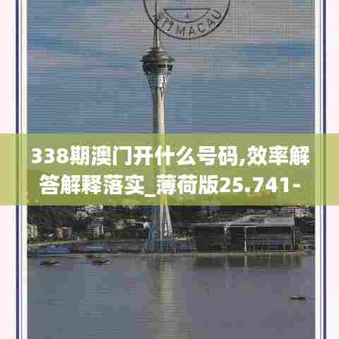 338期澳门开什么号码,效率解答解释落实_薄荷版25.741-5