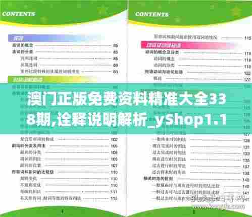 澳门正版免费资料精准大全338期,诠释说明解析_yShop1.178-2
