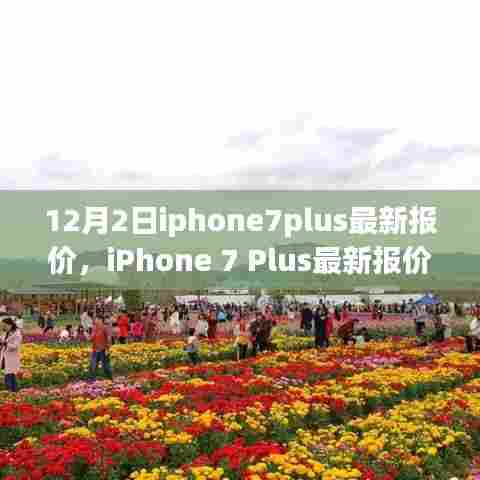 内心宁静与平和