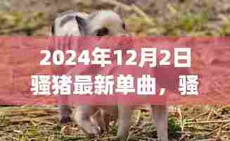 骚猪之歌，自然美景的心灵启示之旅（2024年最新单曲）
